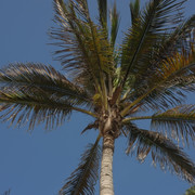 DSCF8237