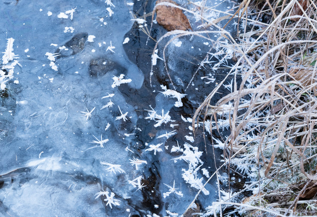 DSCF5953.jpg