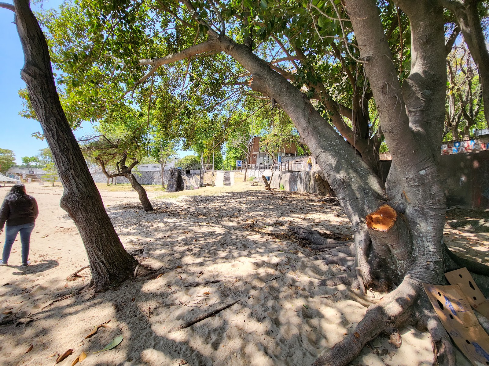 UTU Colonia Del Sacramento