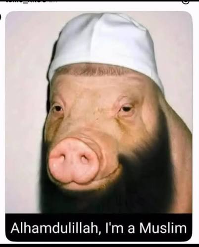 images.jpg
