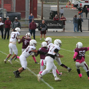 IMG-0237