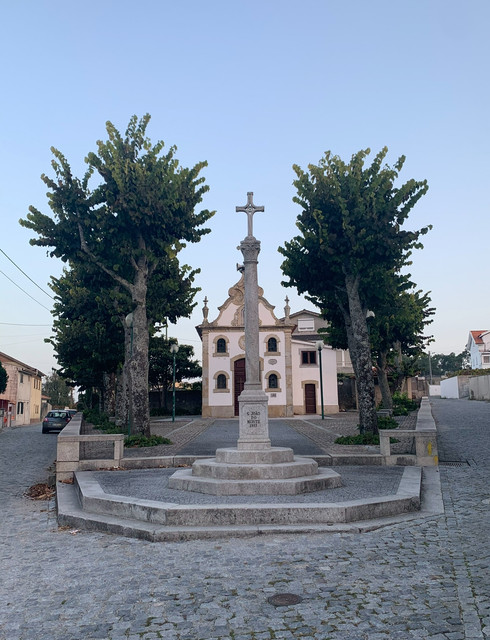 IMG-6736
