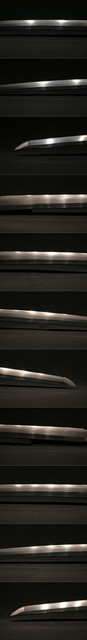 DSC5658.jpg