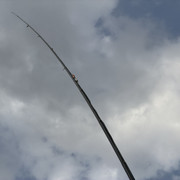 IMG 2761