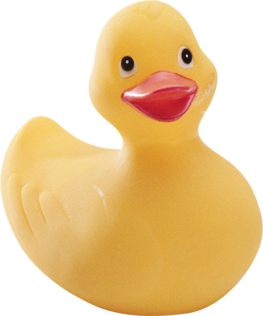 24.png
