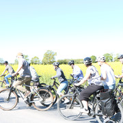 IMG 2749