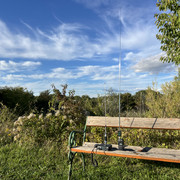 IMG-3372