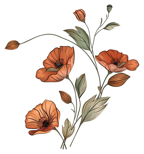 2ec384ad467ca71b6c8f1fb08717c45f.png