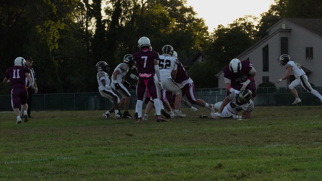 DSC08381.jpg