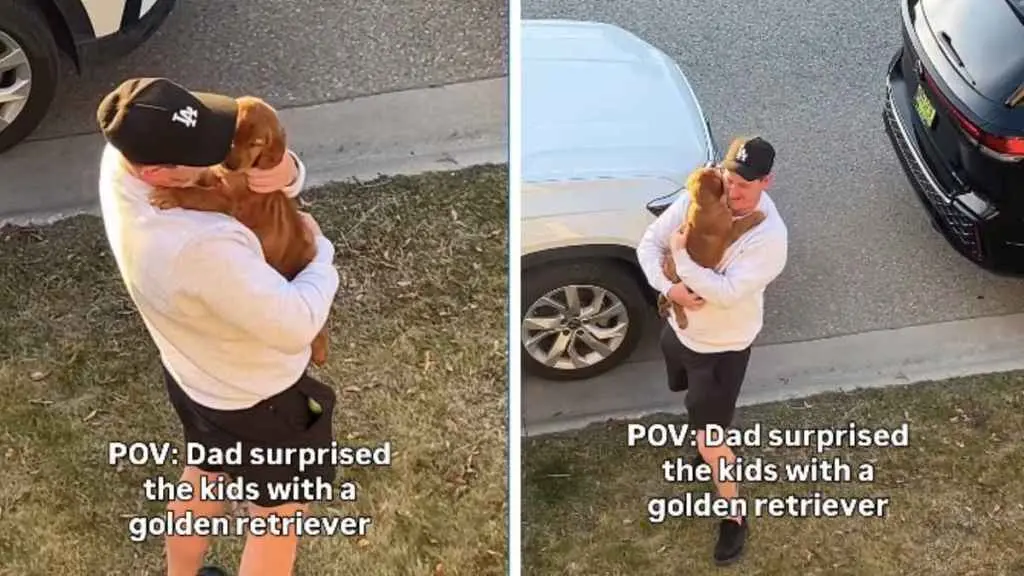 Golden Retriever Surprise Sends Kids Into Joyful Meltdown
