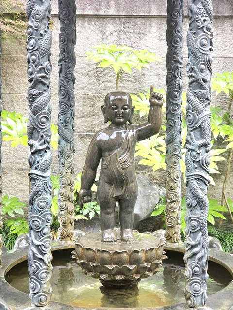 204.jpg
