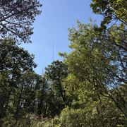 IMG 3470