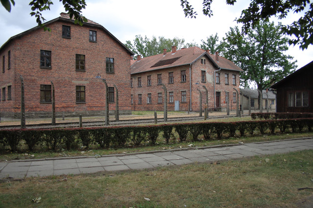IMG-5862.jpg