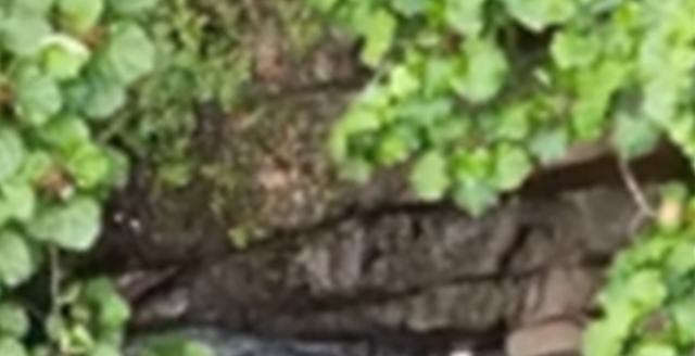 waterfallsfossil