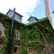 DSC03890
