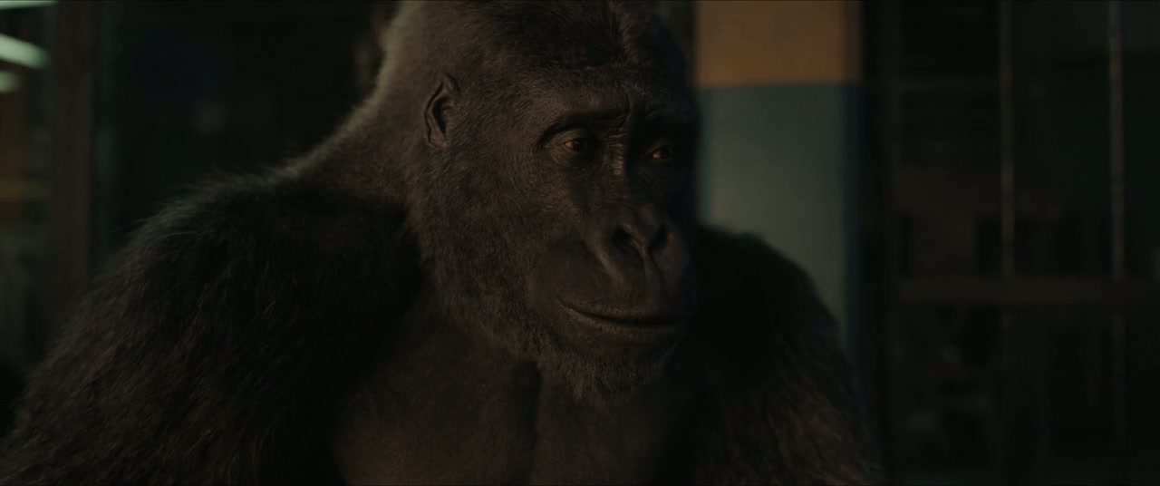 The One and Only Ivan Screenshot