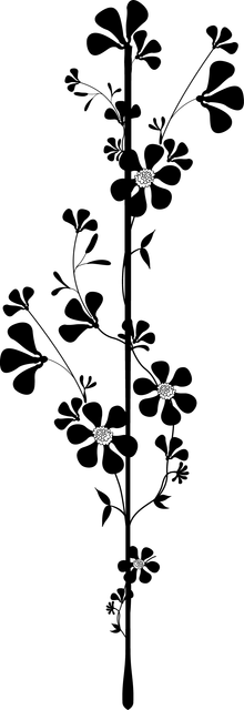 01a899e5304d39b3dccbe84cab2cc1cc.png