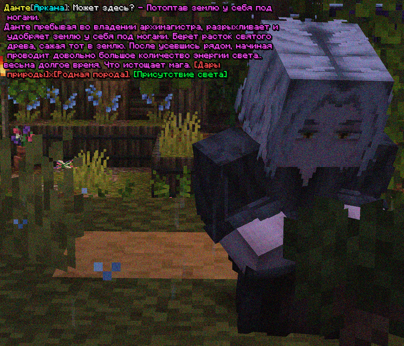 SS2.png