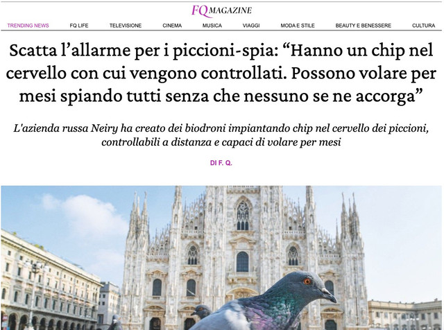 Immagine