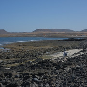 DSCF8362