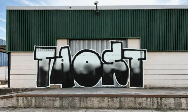 Graffiti artwork by taost