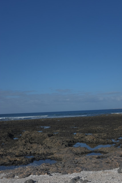 DSCF8471.jpg