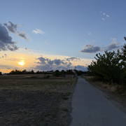 IMG 2762