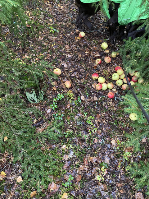 8-FAA5-D4-C-F653-4-D90-82-DE-9-FDC31-C25