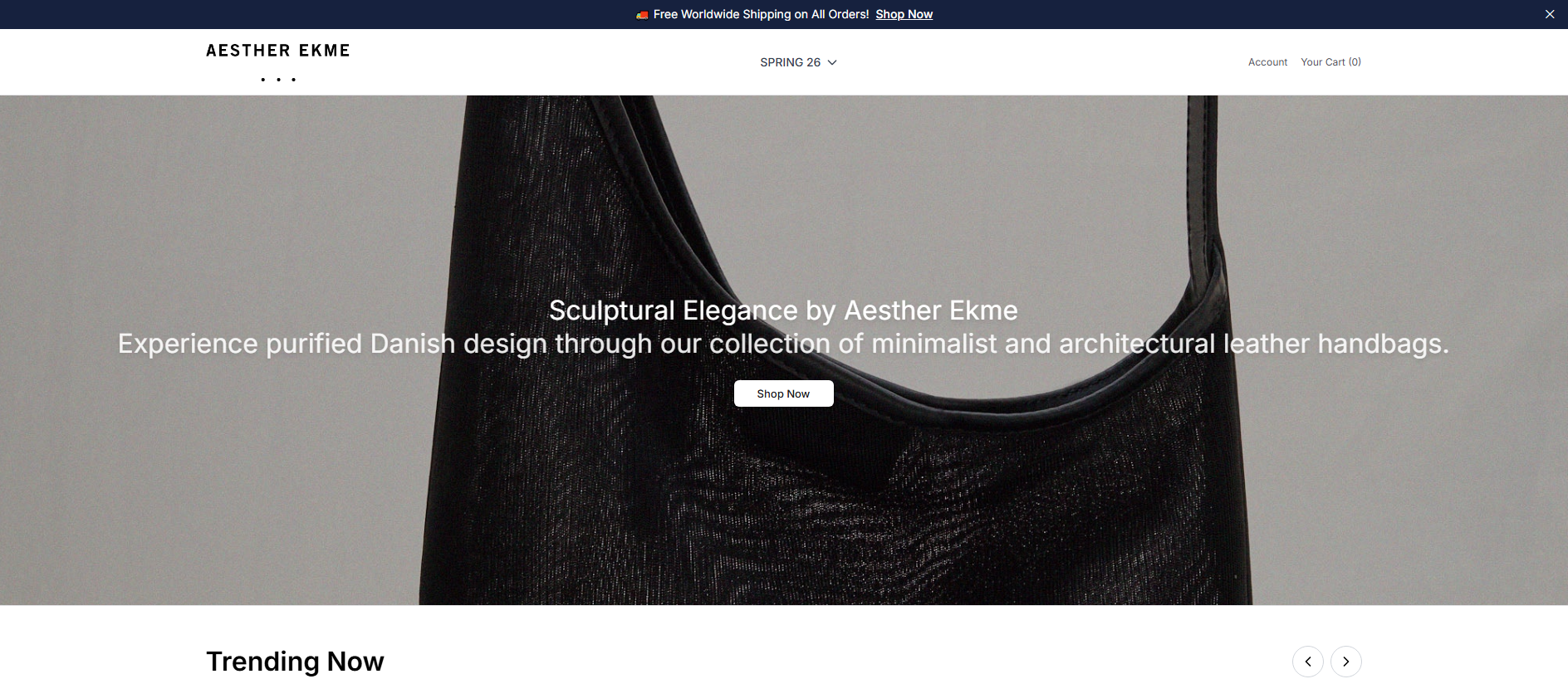 Stored capture of aestherekme.shop