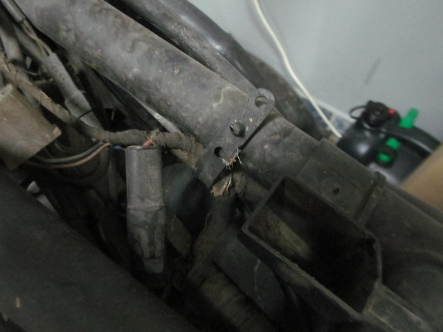 IMG 0334
