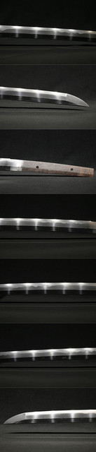 DSC3660