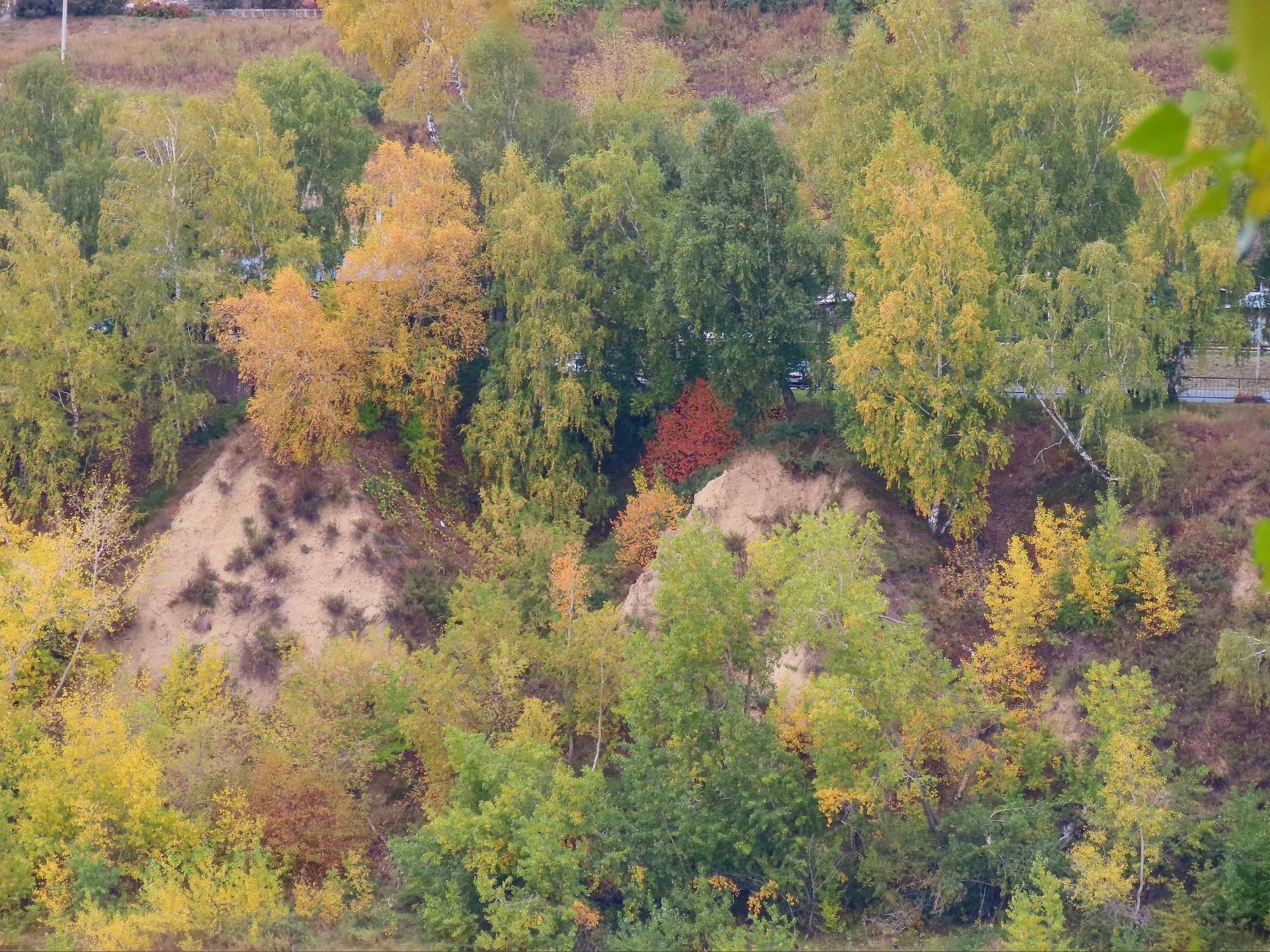 i-13