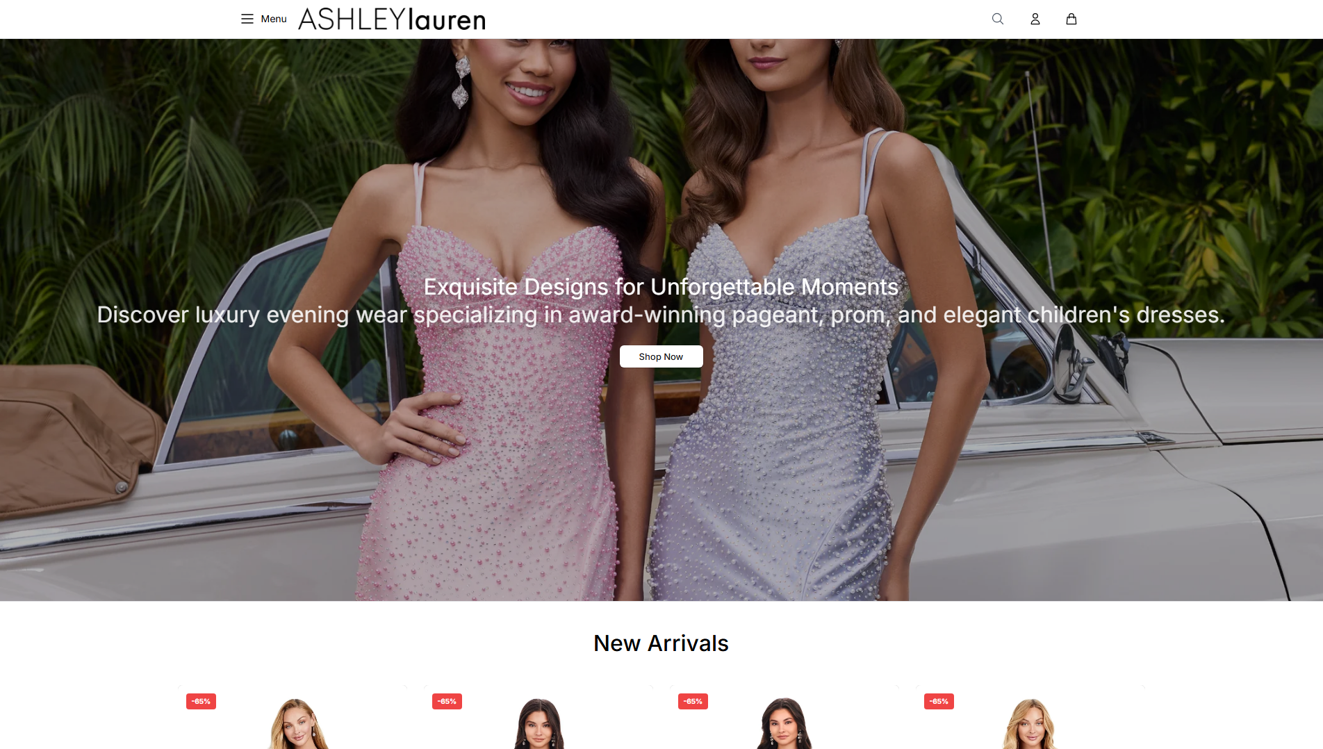 Stored capture of ashleylauren.shop