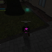 image 71