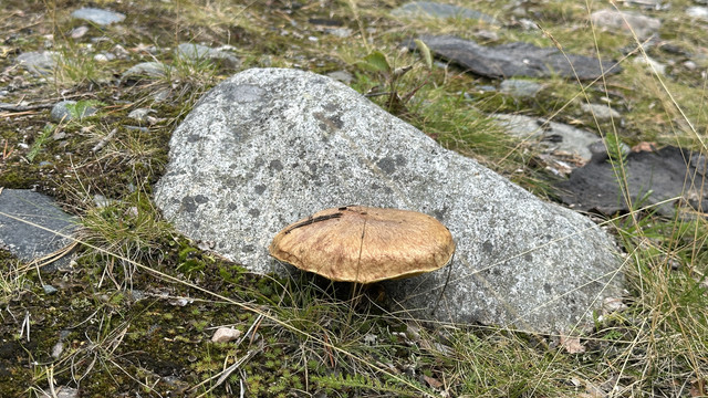 IMG 5765.jpg