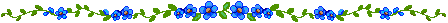 IMG-5341.png