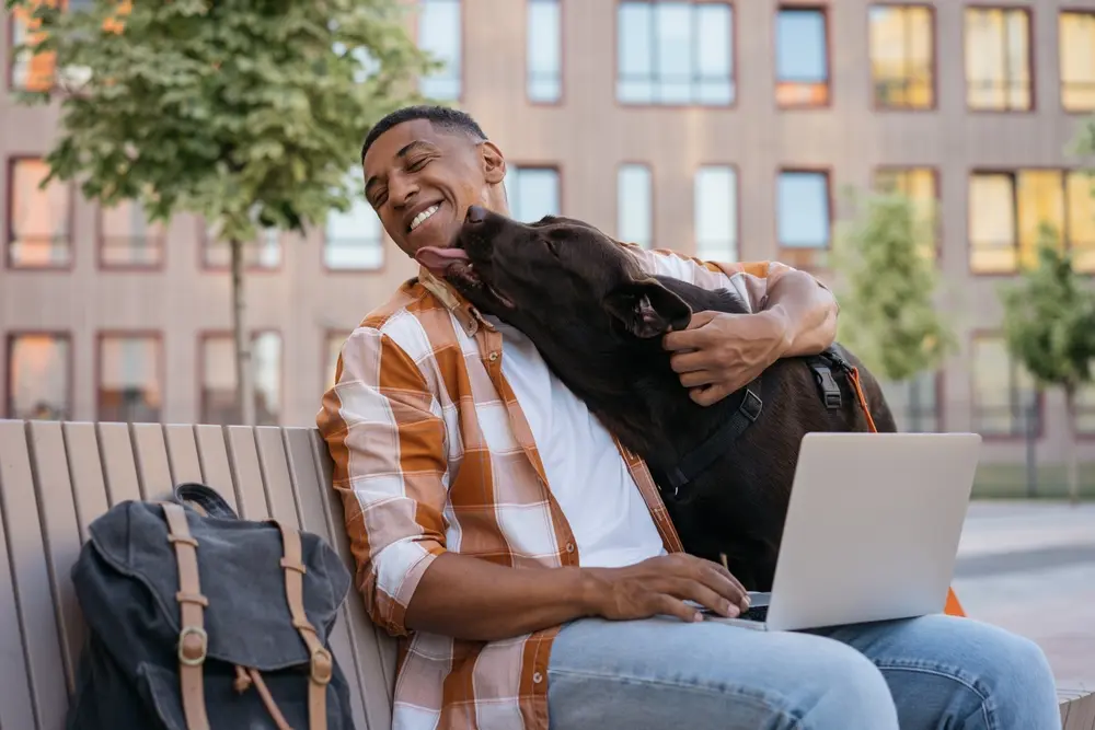 Universities in the USA that allow students to have dogs: rules and restrictions