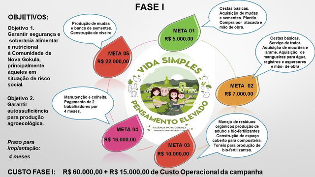 Fase-1.jpg