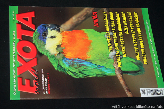 IMG-7782