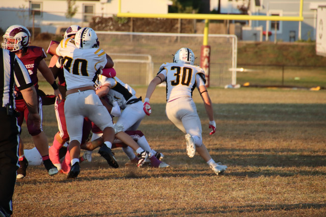 IMG-1535.jpg