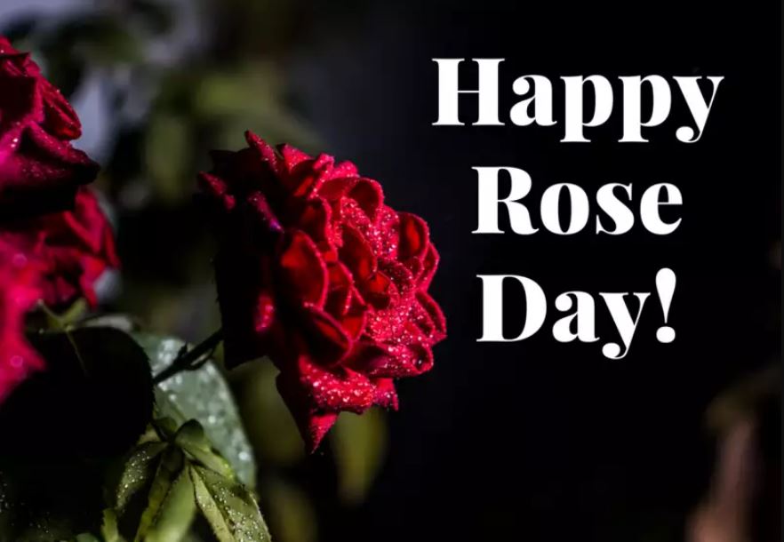 happy-rose-day