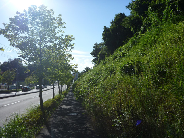 P1340167.jpg