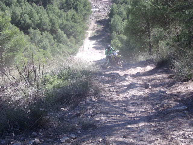 DSCF9038.jpg