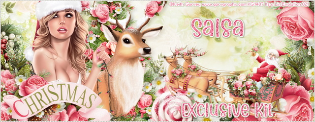 Salsa-Christmas21-Exclusive-Kit