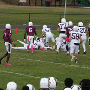 IMG-0169