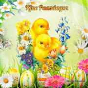 7.gif
