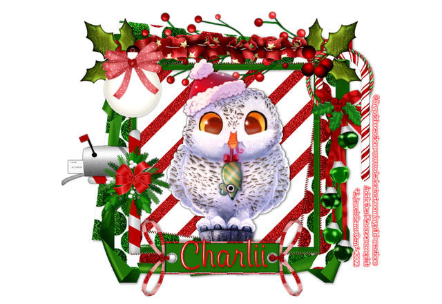 charlii-cryptidxmas