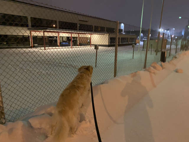 4565-D07-F-8418-4220-A21-D-E7547-B758026