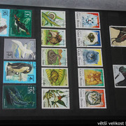 IMG-2232