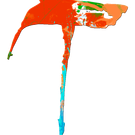 20 556970